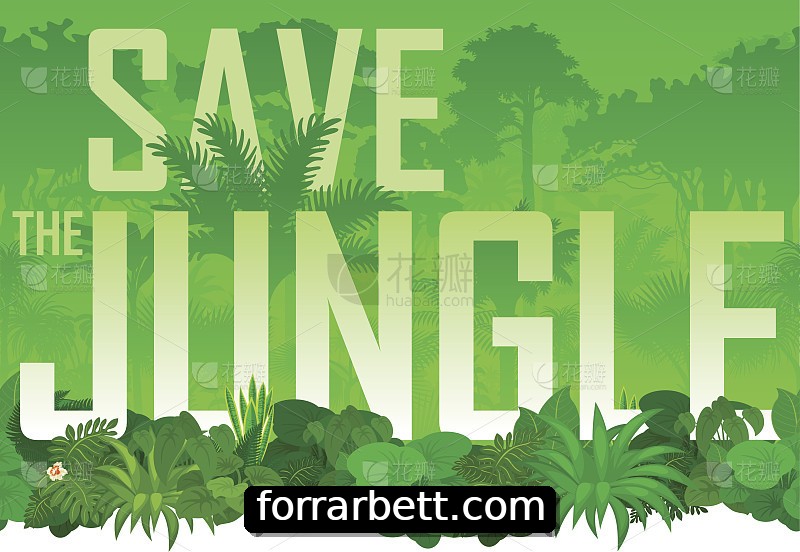 Integração de APIs 3Tbet